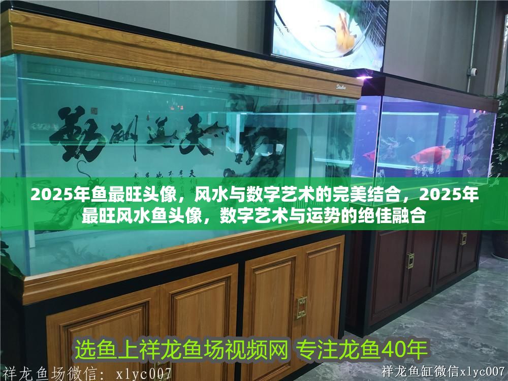 詳細閱讀:2025年魚最旺頭像,風(fēng)水與數(shù)字藝術(shù)的完美結(jié)合,2025年最旺風(fēng)水魚頭像,數(shù)字藝術(shù)與運勢的絕佳融合 2025年魚最旺頭像,風(fēng)水與數(shù)字藝術(shù)的完美結(jié)合,2025年最旺風(fēng)水魚頭像,數(shù)字藝術(shù)與運勢的絕佳融合