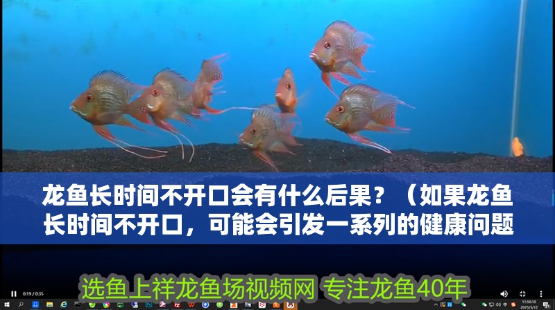 龍魚長時間不開口會有什么后果？（如果龍魚長時間不開口，可能會引發一系列的健康問題）