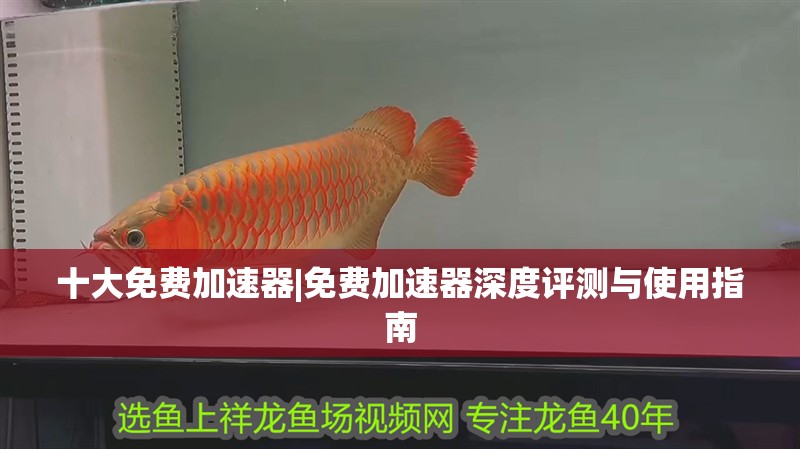 十大免費加速器|免費加速器深度評測與使用指南