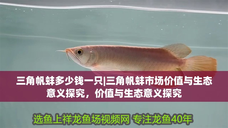 三角帆蚌多少錢一只|三角帆蚌市場價值與生態意義探究，價值與生態意義探究