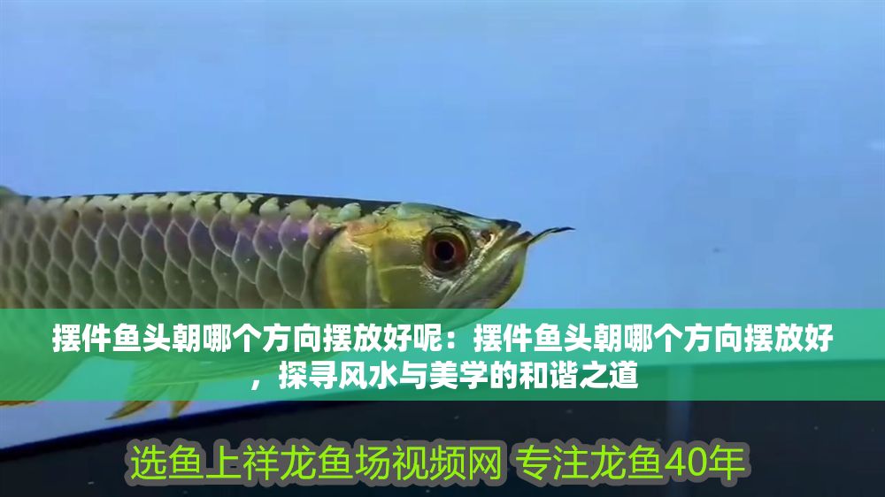 擺件魚頭朝哪個方向擺放好呢：擺件魚頭朝哪個方向擺放好，探尋風水與美學的和諧之道