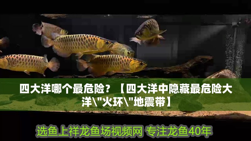 四大洋哪個最危險？【四大洋中隱藏最危險大洋\