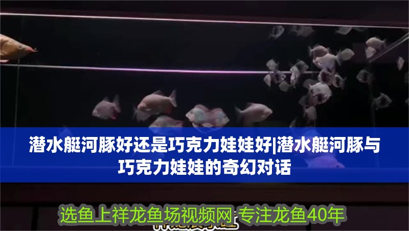 潛水艇河豚好還是巧克力娃娃好|潛水艇河豚與巧克力娃娃的奇幻對話