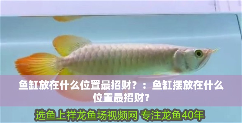 魚缸放在什么位置最招財？：魚缸擺放在什么位置最招財？