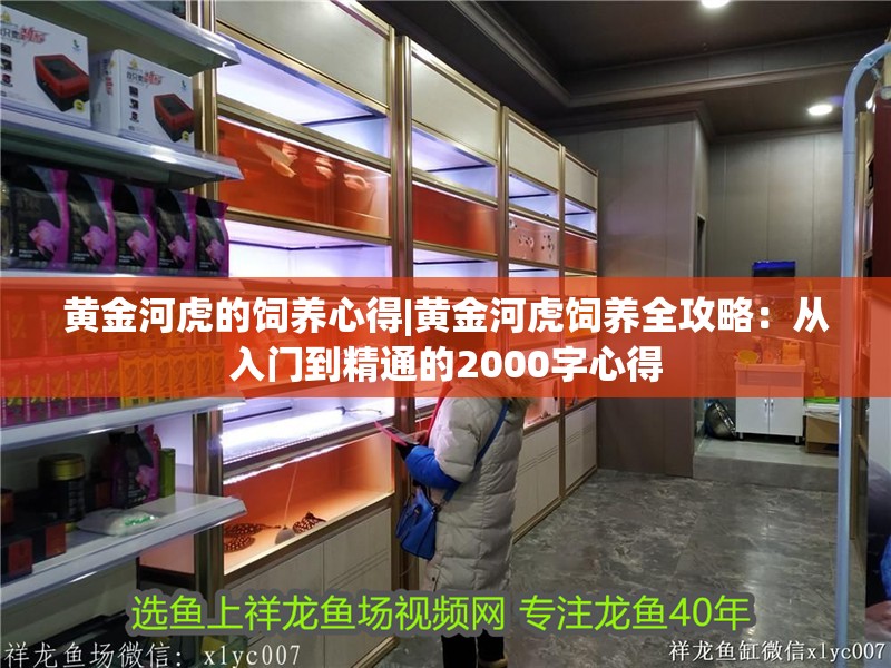 黃金河虎的飼養(yǎng)心得|黃金河虎飼養(yǎng)全攻略：從入門到精通的2000字心得