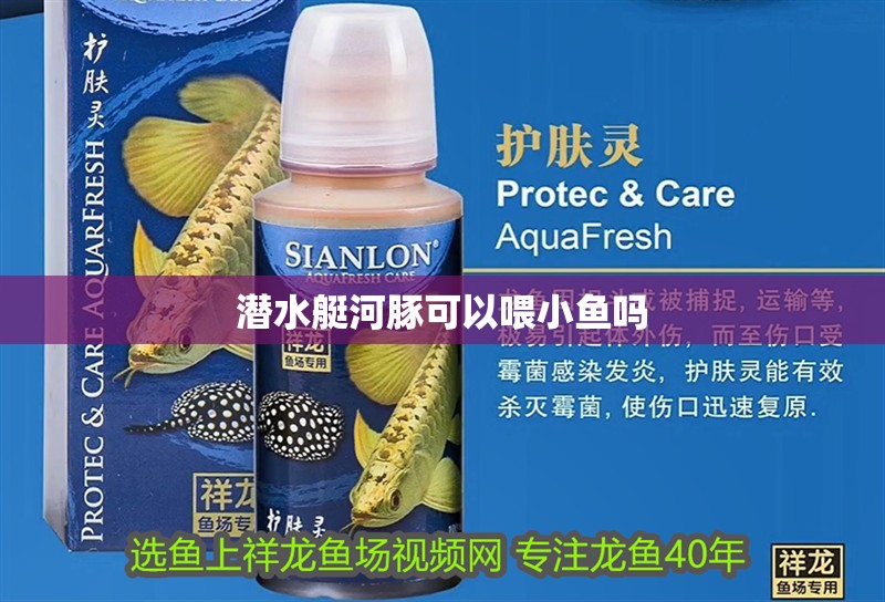 潛水艇河豚可以喂小魚嗎