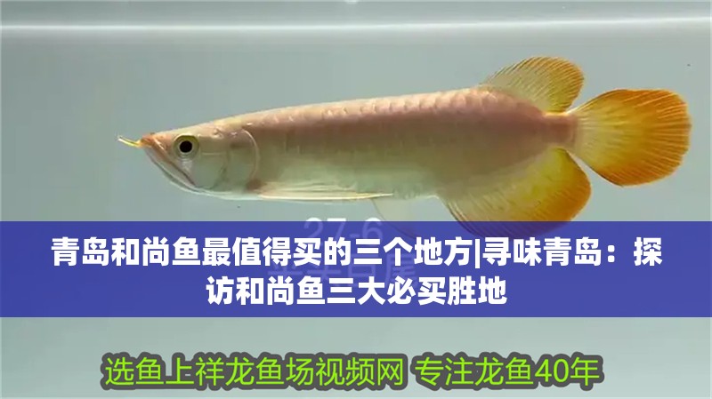 青島和尚魚最值得買的三個地方|尋味青島：探訪和尚魚三大必買勝地