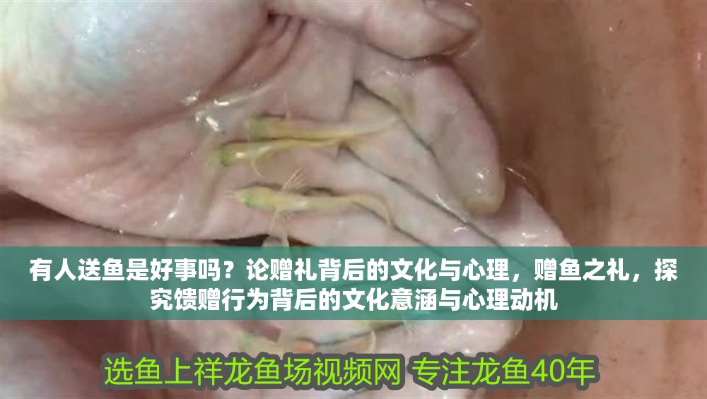有人送魚是好事嗎？論贈禮背后的文化與心理，贈魚之禮，探究饋贈行為背后的文化意涵與心理動機