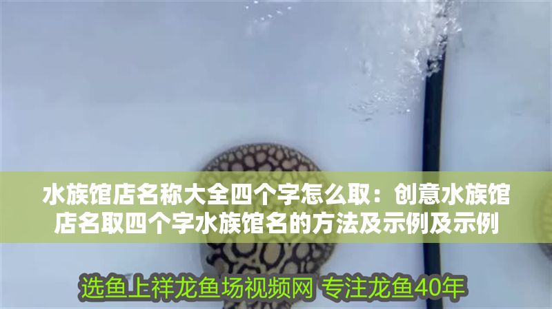 水族館店名稱大全四個字怎么取：創(chuàng)意水族館店名取四個字水族館名的方法及示例及示例