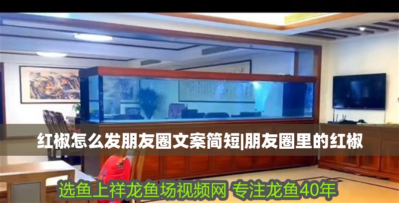 紅椒怎么發(fā)朋友圈文案簡短|朋友圈里的紅椒