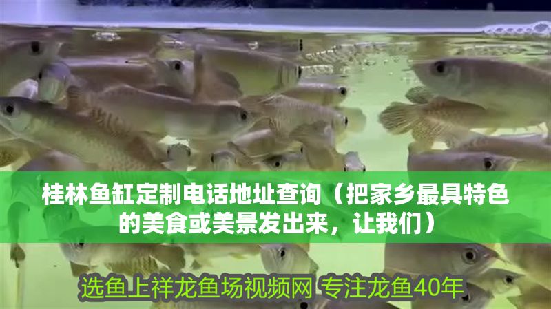 桂林魚缸定制電話地址查詢（把家鄉最具特色的美食或美景發出來，讓我們）