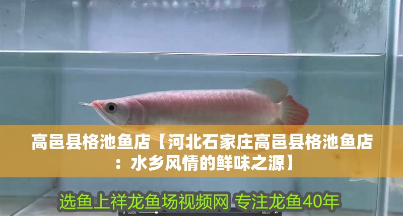 高邑縣格池魚店【河北石家莊高邑縣格池魚店：水鄉風情的鮮味之源】