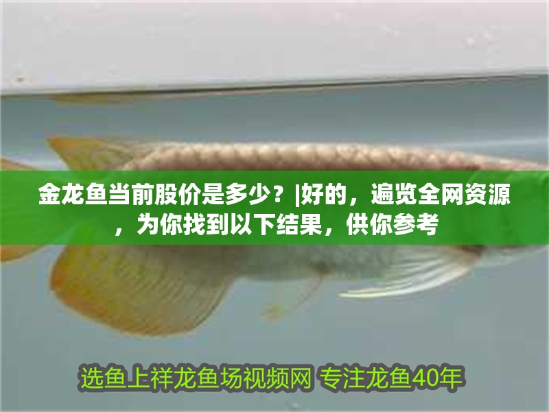 金龍魚當前股價是多少？|好的，遍覽全網資源，為你找到以下結果，供你參考