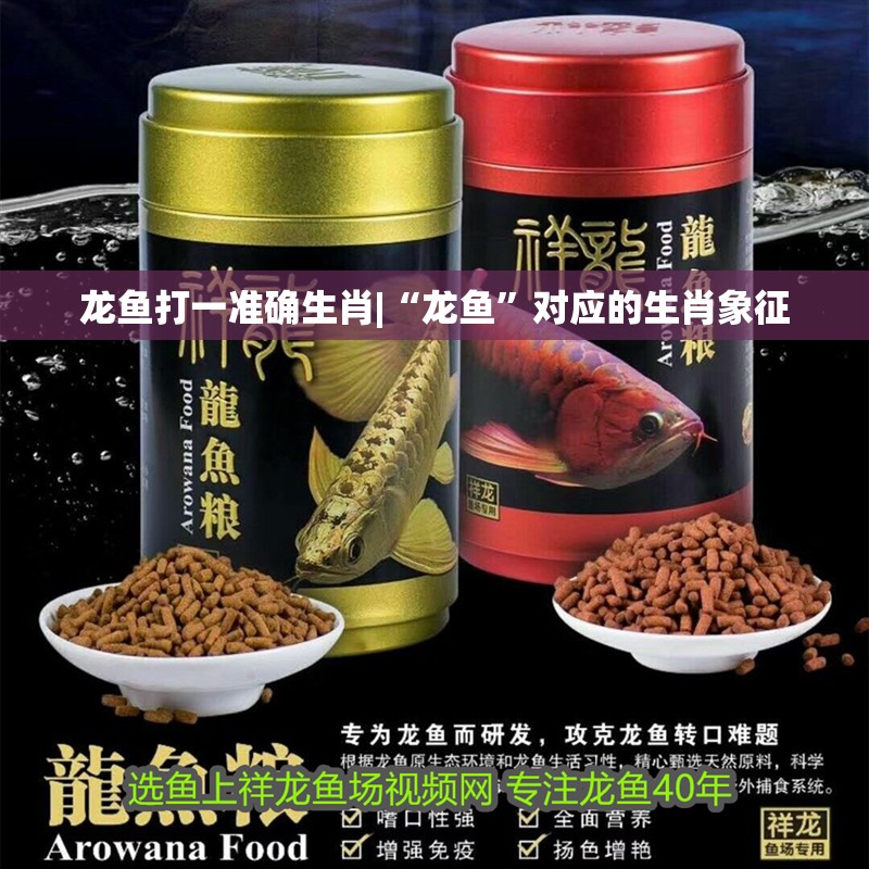 龍魚打一準確生肖|“龍魚”對應的生肖象征