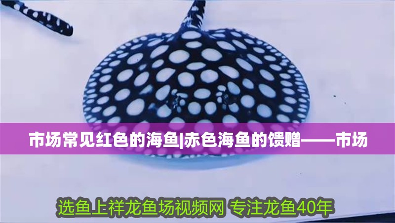 市場(chǎng)常見紅色的海魚|赤色海魚的饋贈(zèng)——市場(chǎng)