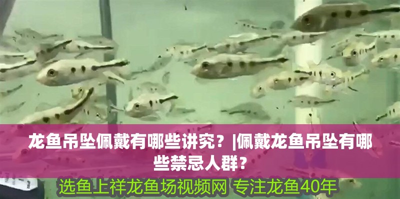 龍魚吊墜佩戴有哪些講究？|佩戴龍魚吊墜有哪些禁忌人群？ 龍魚吊墜佩戴有哪些講究？|佩戴龍魚吊墜有哪些禁忌人群？ 龍魚論壇