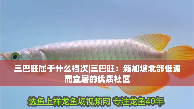 三巴旺屬于什么檔次|三巴旺：新加坡北部低調而宜居的優質社區