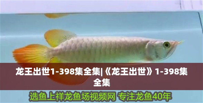 龍王出世1-398集全集|《龍王出世》1-398集全集