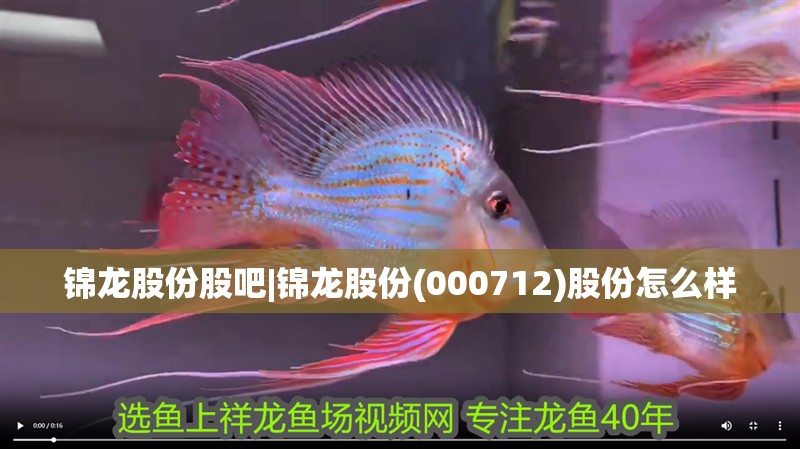錦龍股份股吧|錦龍股份(000712)股份怎么樣