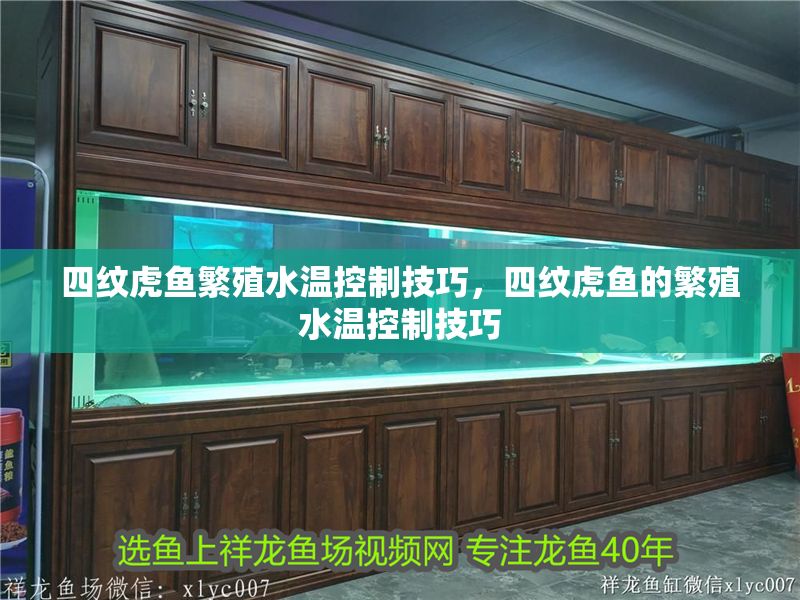 四紋虎魚(yú)繁殖水溫控制技巧，四紋虎魚(yú)的繁殖水溫控制技巧