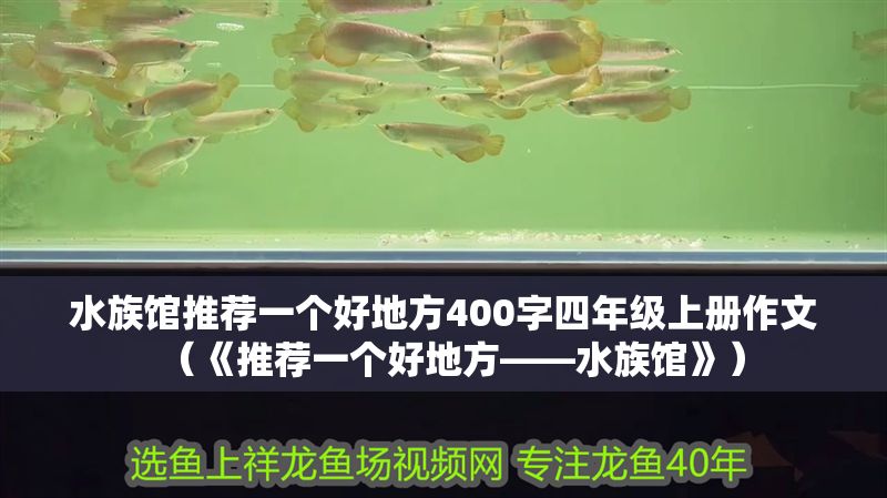 水族館推薦一個(gè)好地方400字四年級(jí)上冊(cè)作文（《推薦一個(gè)好地方——水族館》）
