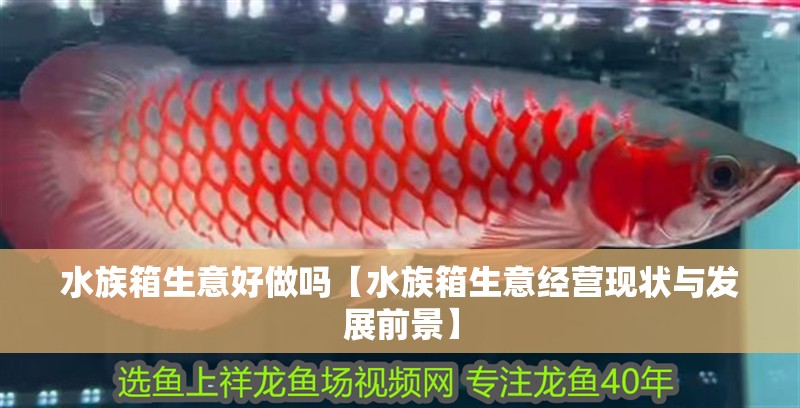 水族箱生意好做嗎【水族箱生意經(jīng)營現(xiàn)狀與發(fā)展前景】