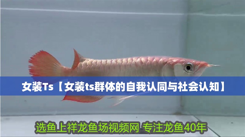 女裝Ts【女裝ts群體的自我認同與社會認知】 女裝Ts【女裝ts群體的自我認同與社會認知】 龍魚論壇