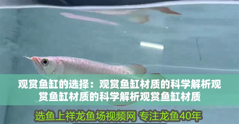 觀賞魚缸的選擇：觀賞魚缸材質(zhì)的科學解析觀賞魚缸材質(zhì)的科學解析觀賞魚缸材質(zhì)