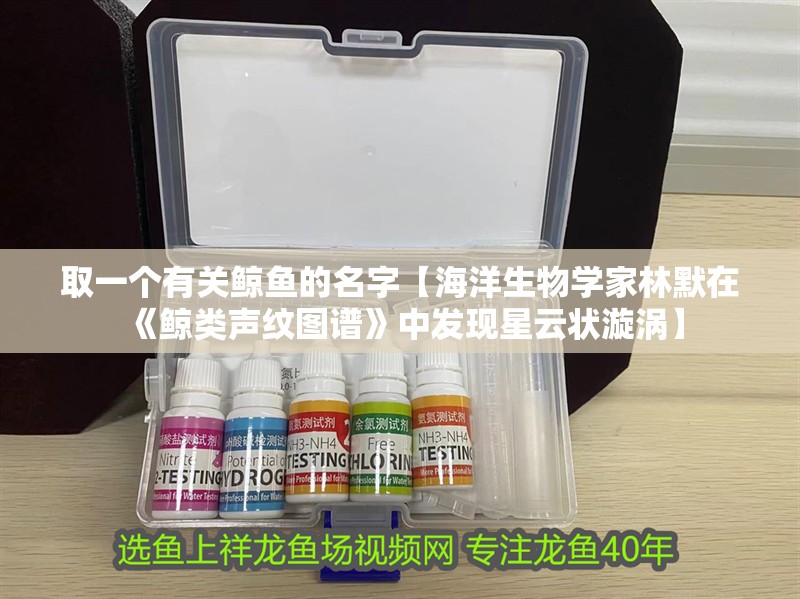 取一個有關鯨魚的名字【海洋生物學家林默在《鯨類聲紋圖譜》中發現星云狀漩渦】