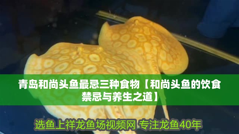 青島和尚頭魚最忌三種食物【和尚頭魚的飲食禁忌與養生之道】