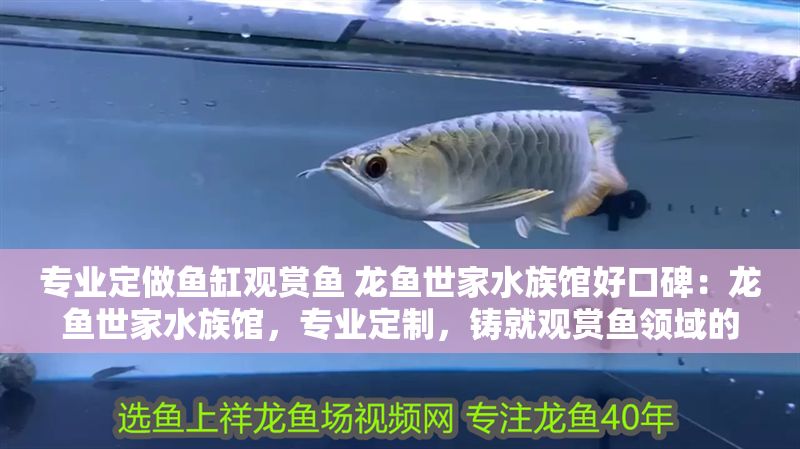 專業(yè)定做魚缸觀賞魚 龍魚世家水族館好口碑：龍魚世家水族館，專業(yè)定制，鑄就觀賞魚領(lǐng)域的好口碑