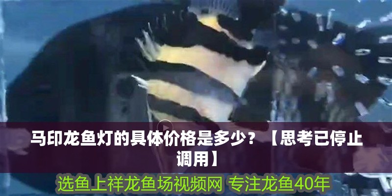 馬印龍魚燈的具體價格是多少？【思考已停止調(diào)用】