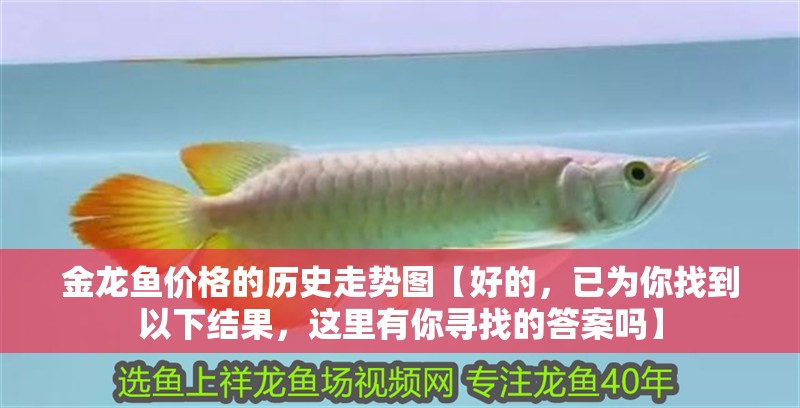 金龍魚價(jià)格的歷史走勢(shì)圖【好的，已為你找到以下結(jié)果，這里有你尋找的答案嗎】 金龍魚價(jià)格的歷史走勢(shì)圖【好的，已為你找到以下結(jié)果，這里有你尋找的答案嗎】 龍魚百科