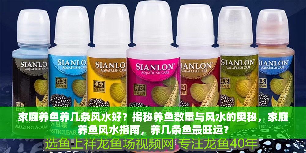 詳細(xì)閱讀:家庭養(yǎng)魚(yú)養(yǎng)幾條風(fēng)水好?揭秘養(yǎng)魚(yú)數(shù)量與風(fēng)水的奧秘,家庭養(yǎng)魚(yú)風(fēng)水指南,養(yǎng)幾條魚(yú)最旺運(yùn)? 家庭養(yǎng)魚(yú)養(yǎng)幾條風(fēng)水好?揭秘養(yǎng)魚(yú)數(shù)量與風(fēng)水的奧秘,家庭養(yǎng)魚(yú)風(fēng)水指南,養(yǎng)幾條魚(yú)最旺運(yùn)?