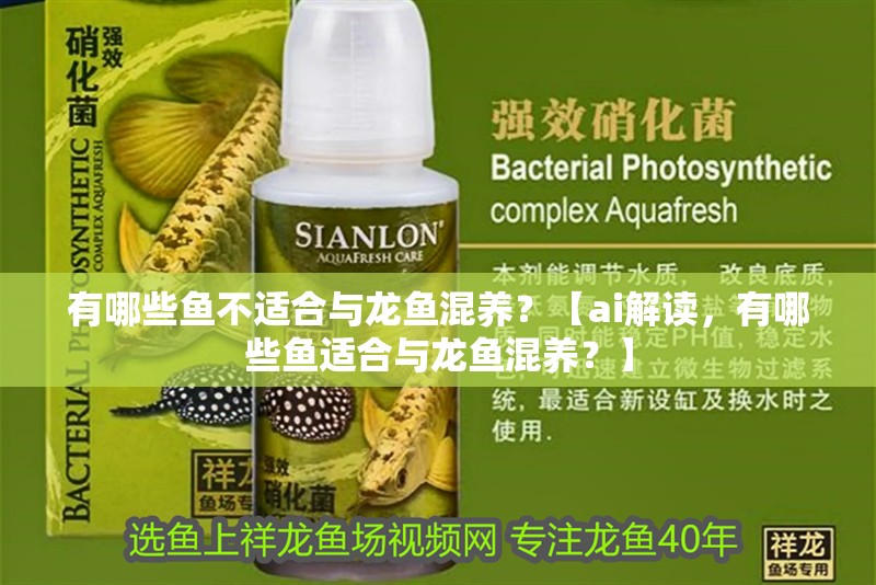 有哪些魚不適合與龍魚混養(yǎng)？【ai解讀，有哪些魚適合與龍魚混養(yǎng)？】