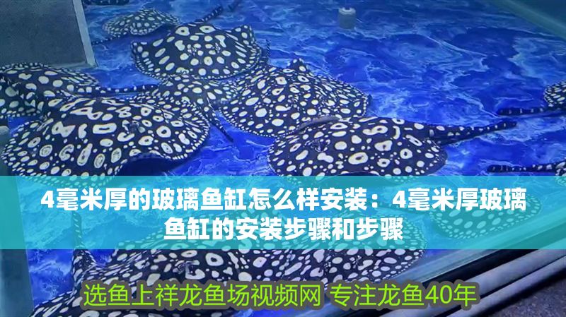 4毫米厚的玻璃魚缸怎么樣安裝：4毫米厚玻璃魚缸的安裝步驟和步驟