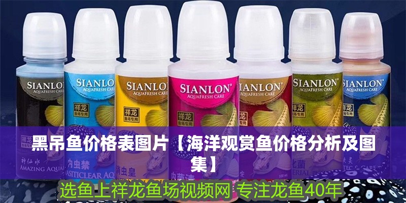黑吊魚價格表圖片【海洋觀賞魚價格分析及圖集】