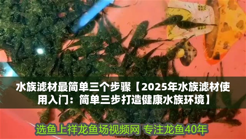 水族濾材最簡單三個步驟【2025年水族濾材使用入門：簡單三步打造健康水族環境】