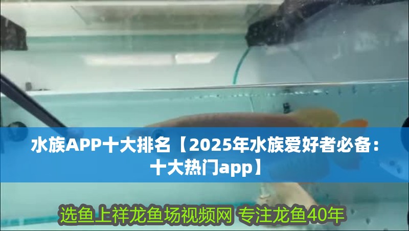 水族APP十大排名【2025年水族愛好者必備：十大熱門app】