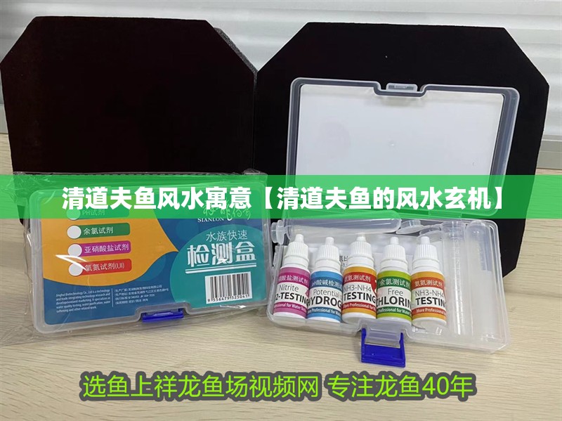 清道夫魚風水寓意【清道夫魚的風水玄機】