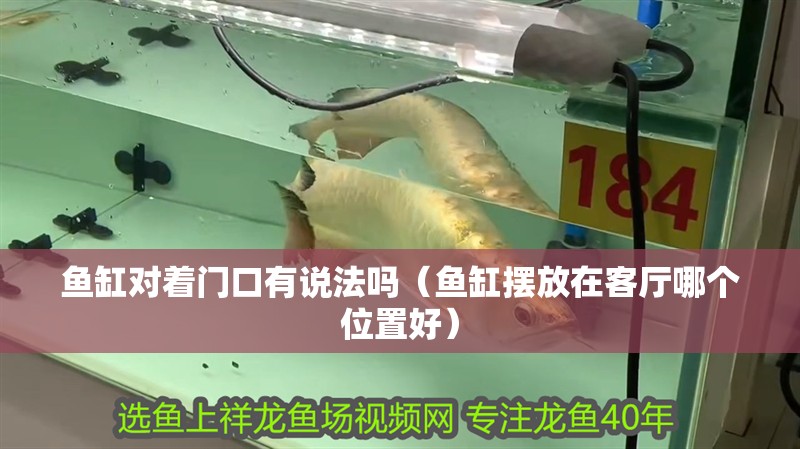 魚缸對著門口有說法嗎（魚缸擺放在客廳哪個位置好） 魚缸對著門口有說法嗎（魚缸擺放在客廳哪個位置好） 龍魚百科