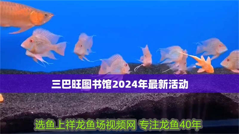 三巴旺圖書館2024年最新活動