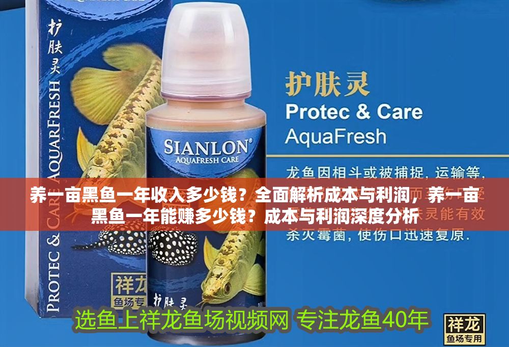 養(yǎng)一畝黑魚一年收入多少錢？全面解析成本與利潤，養(yǎng)一畝黑魚一年能賺多少錢？成本與利潤深度分析