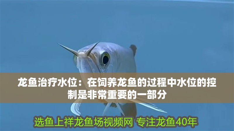 龍魚治療水位：在飼養龍魚的過程中水位的控制是非常重要的一部分