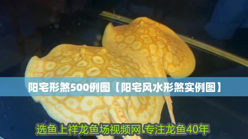 陽宅形煞500例圖【陽宅風水形煞實例圖】