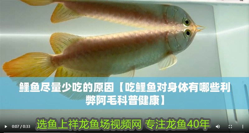 鯉魚盡量少吃的原因【吃鯉魚對身體有哪些利弊阿毛科普健康】