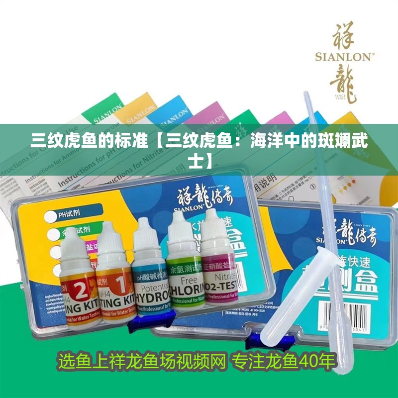 三紋虎魚的標準【三紋虎魚：海洋中的斑斕武士】