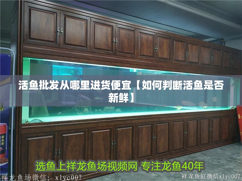 活魚批發從哪里進貨便宜【如何判斷活魚是否新鮮】