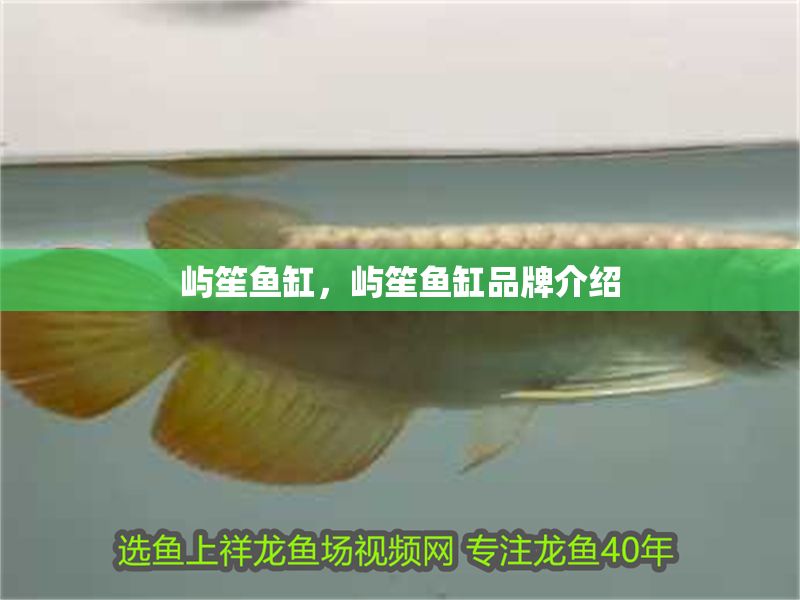 嶼笙魚缸，嶼笙魚缸品牌介紹
