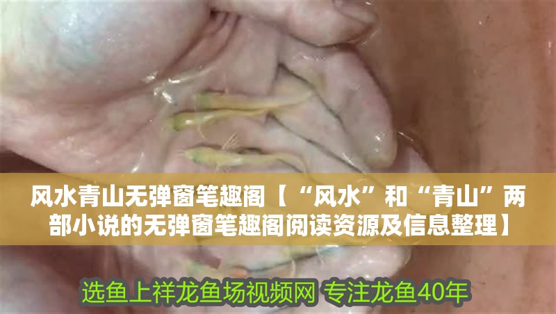 風水青山無彈窗筆趣閣【“風水”和“青山”兩部小說的無彈窗筆趣閣閱讀資源及信息整理】